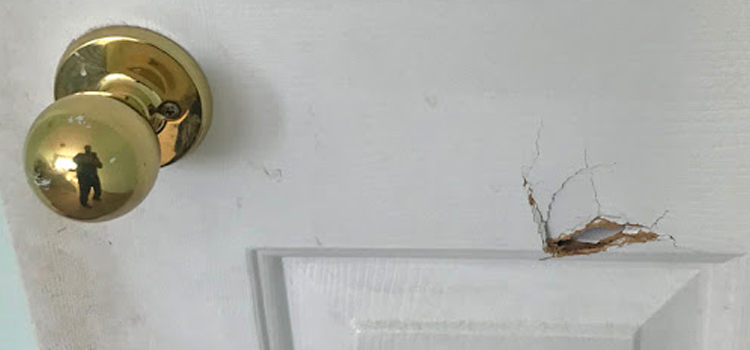 interior door hole repair Villa Park