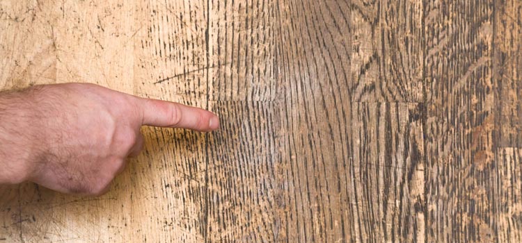 Wood Door Scratch Repair in Villa Park